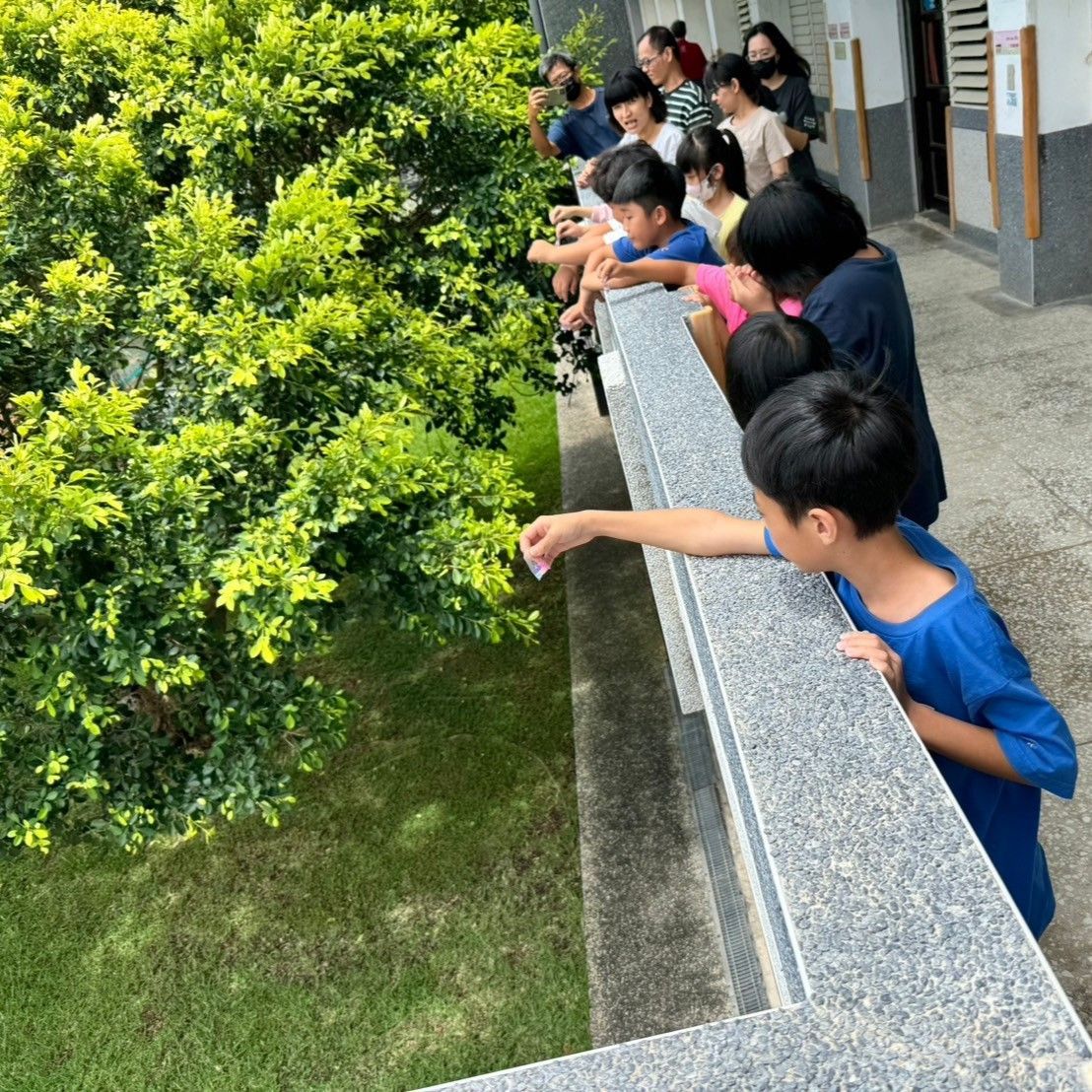 圖5：科學活動體驗(變色珠-紫外線檢測)